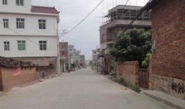 莆田东海镇爆料新闻最新,最新爆料揭示惊人真相