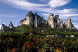 大渝网爆料台最新金佛山,揭秘最新奇自然奇观！”