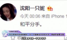 孙一宁女友爆料视频播放,揭秘背后真相