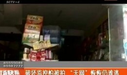 天网2014全集在线观看,揭秘网络犯罪背后的真相