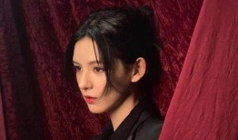 明星新闻大爆料2024