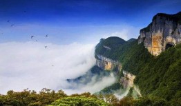 大渝网爆料台最新金佛山,揭秘最新奇自然奇观！”