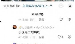 云南永善爆料案件视频,真相揭开，疑云散去