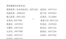 登封市最新爆料消息公布,揭秘背后惊人真相