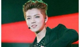 鹿晗巅峰爆料视频大全集,揭秘爆料视频大全集