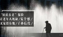 抵押300万在线观看,轻松了解贷款流程与技巧