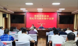 娄底市新闻爆料电话,守护城市脉搏，倾听市民心声