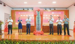 儋州爆料新闻事件最新消息,事件真相及后续进展全解析