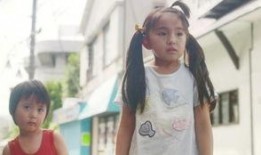 王老师视角爆料视频,爆料视频背后的惊人真相