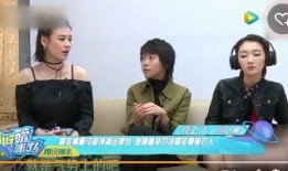 许敏姐妹爆料视频大全集,揭秘事件真相与情感纠葛