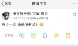 免费吃瓜爆料公众号,免费吃瓜爆料公众号带你探秘明星生活