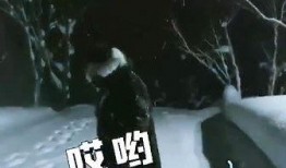 李易峰 网友爆料视频,真相究竟如何？