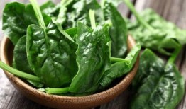 吃瓜菠菜视频下载免费,吃瓜菠菜视频免费下载，尽享娱乐盛宴！