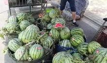 合肥吃瓜最新事件爆料是真的吗,真相揭秘还是无稽之谈？