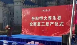 岳阳恒大最新爆料消息,揭秘项目神秘面纱背后的惊人真相