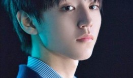 圈内爆料王俊凯录音,揭秘娱乐圈背后的真相与争议