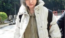 蓝洁瑛爆料娱乐圈,揭秘明星背后的残酷真相