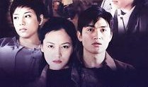 天网2014全集在线观看,揭秘网络犯罪背后的真相