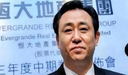 恒大集团董事长最新爆料,揭秘恒大困境与未来发展方向