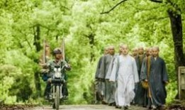 寻孤在线观看,在线见证生死相依的感人故事