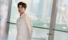 任嘉伦爆料机器人视频,机器人背后的秘密与未来展望