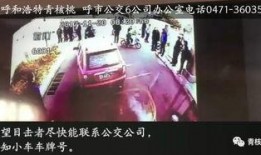 爆料苏北亮哥视频大全最新,揭秘网红魅力背后的故事