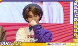 张远爆料吴雅婷视频合集,独家爆料合集大揭秘