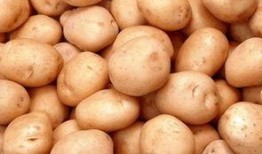 双食记在线观看土豆,土豆版在线观看，美食与悬疑的交织之旅