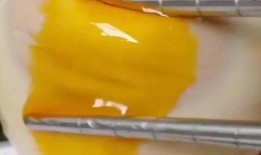 海鸭蛋爆料视频,视频爆料背后的惊人真相