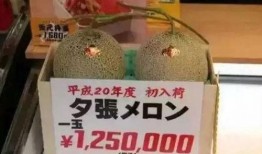 娱乐吃瓜汇,揭秘娱乐圈最新热点事件