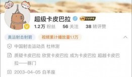 爆料四姐视频下载网站免费,四姐视频网站独家爆料，海量资源一网打尽！