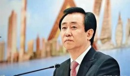 恒大集团董事长最新爆料,揭秘恒大困境与未来发展方向