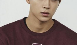 爆料娱乐圈南柱赫,娱乐圈的璀璨明星，魅力与实力并存