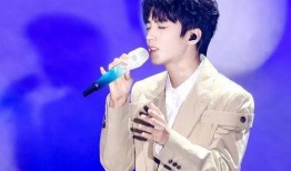 圈内爆料王俊凯录音,揭秘娱乐圈背后的真相与争议