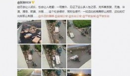 猪肉爆料视频播放下载,揭秘网络热传猪肉播放下载背后的真相