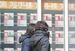 增城记者爆料视频,视频揭秘事件真相