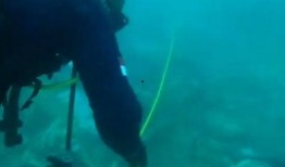 残骸 电影在线观看,揭秘电影背后的惊悚真相