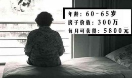 抵押300万在线观看,轻松了解贷款流程与技巧