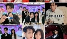 陈泽斩虎相互爆料视频,一场网络风波的真相揭秘