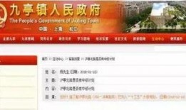 松江新闻爆料找谁,聚焦热点事件，深度解析社会现象