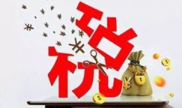 傅人传最新爆料是哪一集