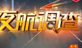 新闻夜航新闻爆料,揭秘重大事件背后真相