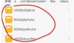 自己爆料的视频怎么下载,跟随我一起探索幕后制作细节