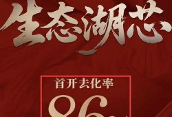 华润爆料最新消息今天,揭秘今日重大行业动态！”