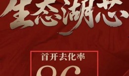 华润爆料最新消息今天,揭秘今日重大行业动态！”