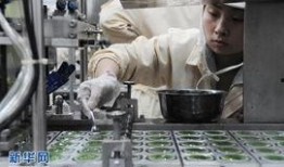 酱牛肉加工车间爆料视频,揭秘传统工艺与现代技术的碰撞