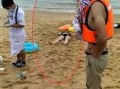 多人爆料溺亡案例最新,水域安全警钟长鸣