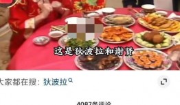 过年爆料视频,精彩瞬间大盘点