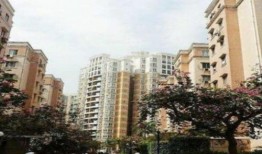 深圳福永爆料事件视频,视频揭露惊人真相