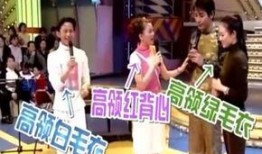 河北女子爆料新闻视频大全,揭秘社会热点事件背后的真相